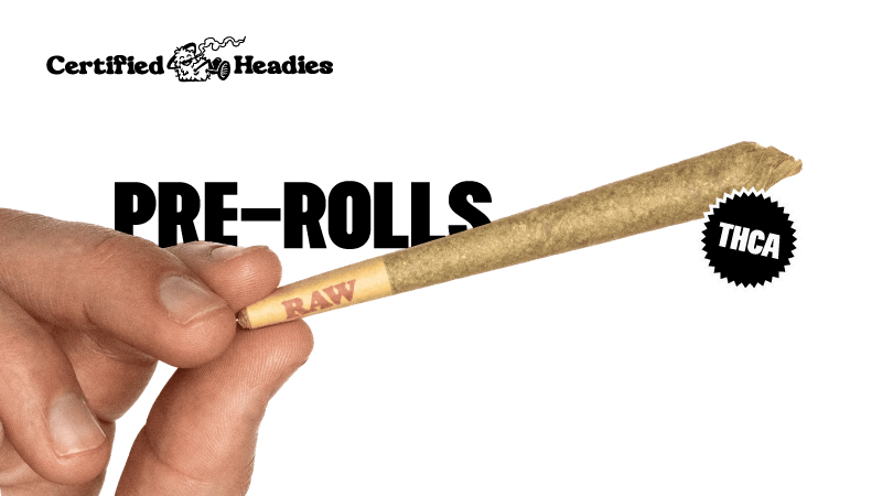 Hand holding a THCa pre-roll from Certified Headies.