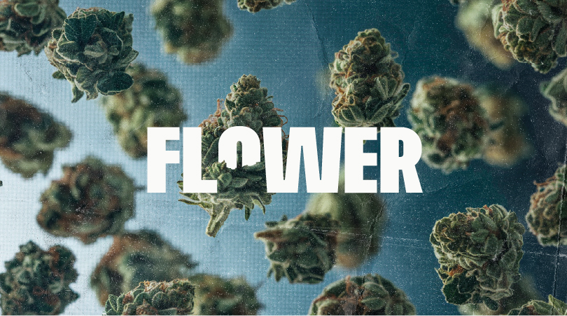 Nugs of THCA flower. 