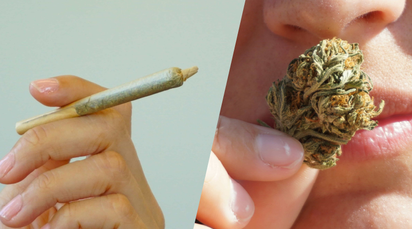 THCA pre-roll juxtaposed to a nug of THCA flower.