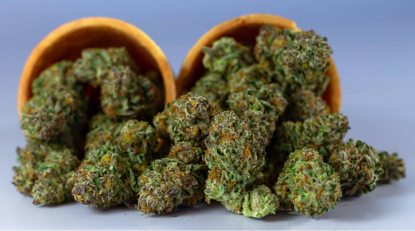 Close-up of THCa flower buds.
